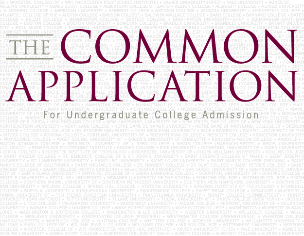 Common application essay help rules