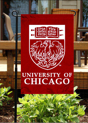 University of chicago essay